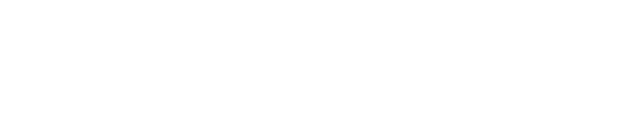 The Finer Detailer